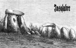 Insalubre : Assim Nasceu o Ódio Pelo Tempo que Vivemos...